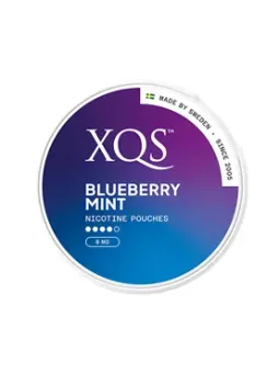 XQS Blueberry Mint Slim Strong