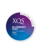 XQS Blueberry Mint Slim Strong