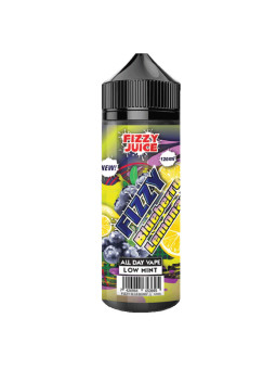 Fizzy Blueberry Lemonade,100ML Shortfill
